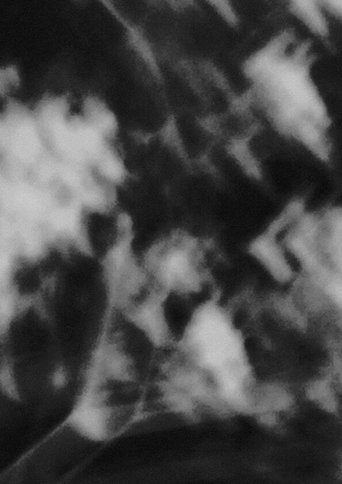 Poster of Portions of Light,  A Section