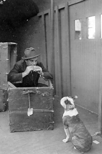 Poster of The Dog in the Baggage Car