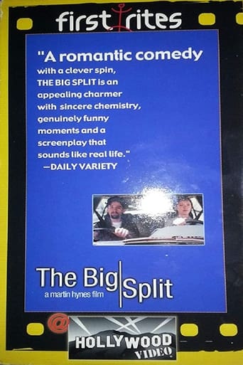 Poster of The Big Split