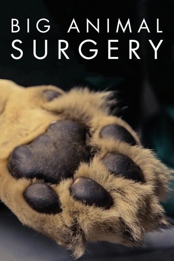 Big Animal Surgery Poster of Big Animal Surgery