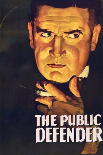 Poster of The Public Defender