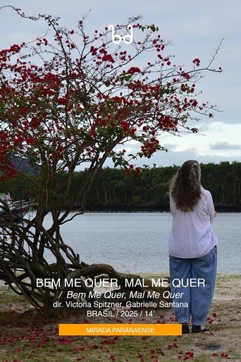 Poster of Bem Me Quer, Mal Me Quer