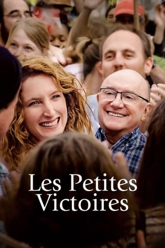 Poster of The Small Victories