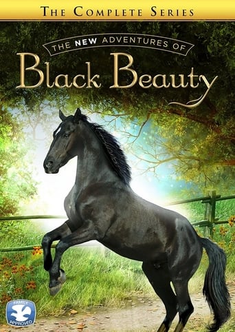 Poster of The New Adventures of Black Beauty