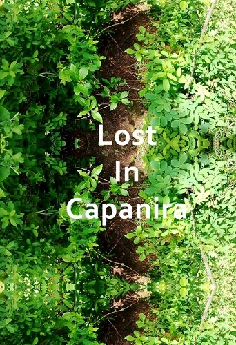 Poster of Lost In Capanira