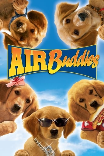 Poster of Air Buddies