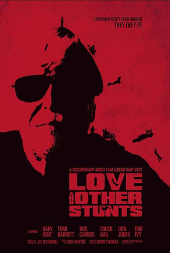 Poster of Love and Other Stunts