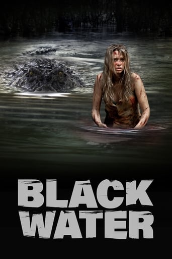 Poster of Black Water