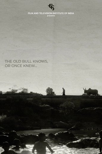 Poster of The Old Bull knows, or Once Knew