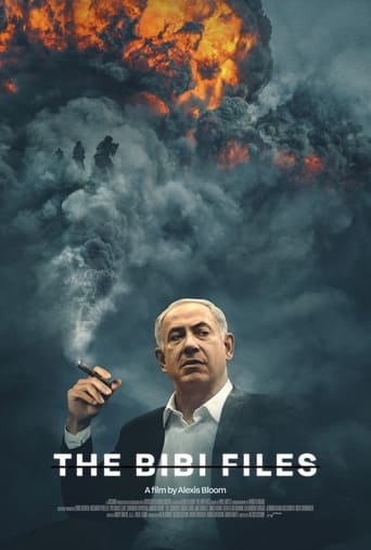 Poster of The Bibi Files