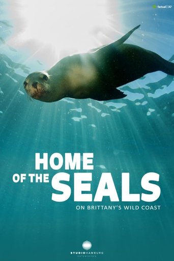Poster of Home of the seals: On Brittanny's wild coast