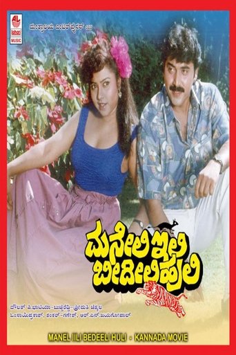 Poster of Maneli Ili Beedili Huli