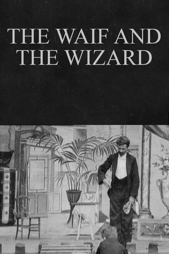 The Waif and the Wizard Poster of The Waif and the Wizard