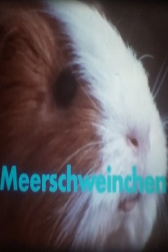 Meerschweinchen Poster of Meerschweinchen