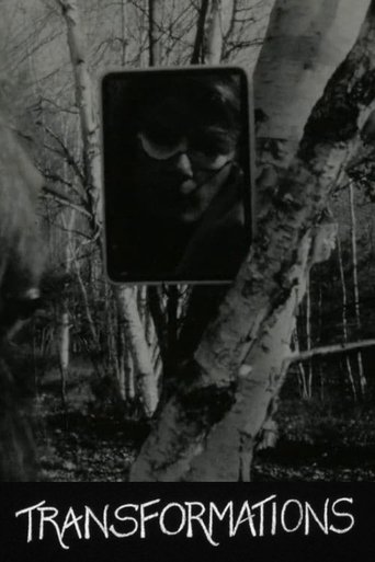 Poster of Transformations