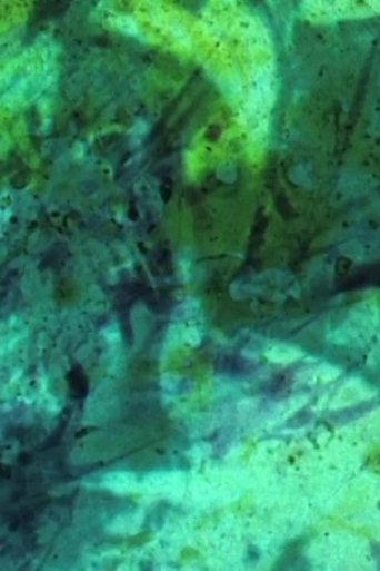 Poster of Spectre / Effacement / Disparition (Film expérience / fragilité)