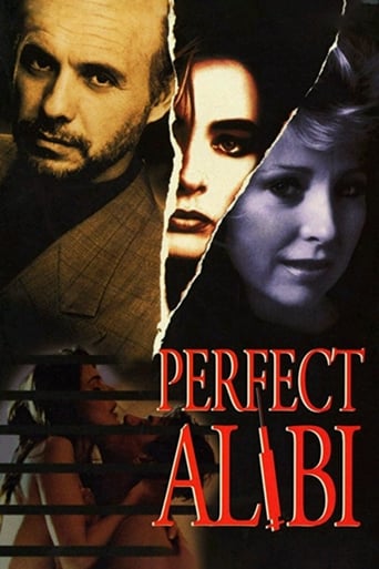 Poster of Perfect Alibi