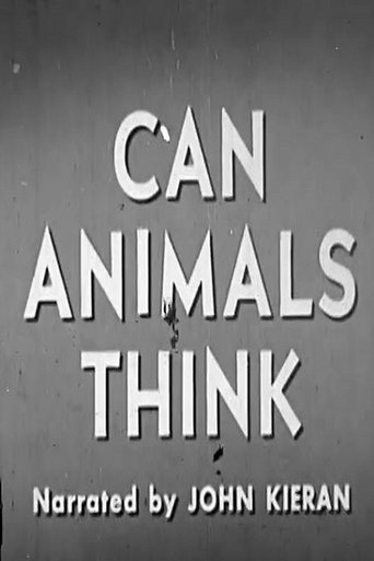 Can Animals Think Poster of Can Animals Think