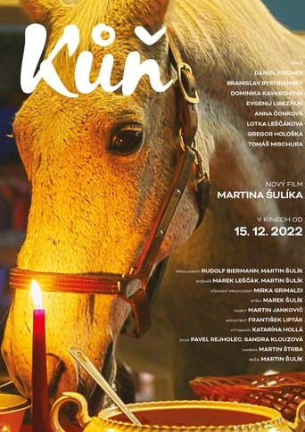 Poster of Kůň