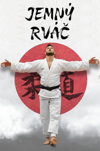 Poster of The Gentle Fighter