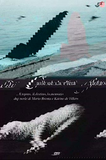 Poster of Calle de la pietà