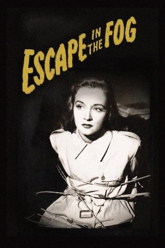 Poster of Escape in the Fog