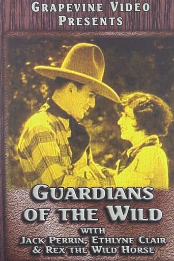 Poster of Guardians of the Wild