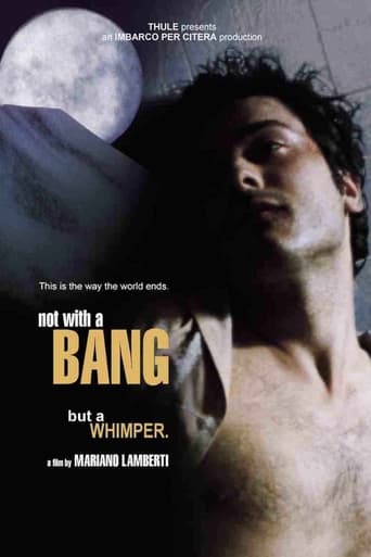 Poster of Not with a Bang