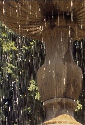 Poster of Wasserfall