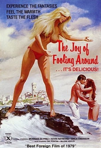 Poster of The Joy of Fooling Around