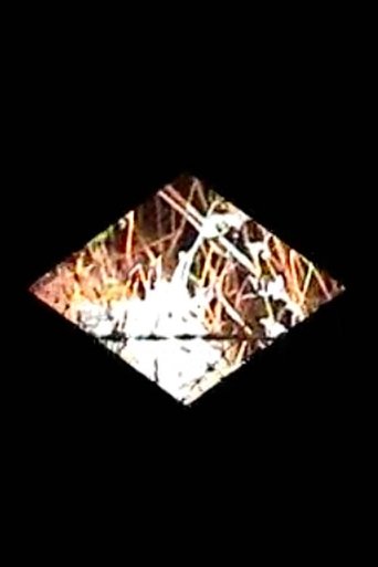 Diamondback Poster of Diamondback