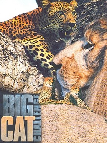 Big Cat Challenge Poster of Big Cat Challenge