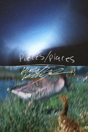 Pieces/Places Poster of Pieces/Places