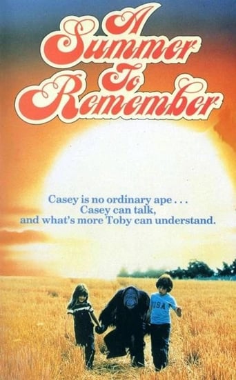 Poster of A Summer to Remember