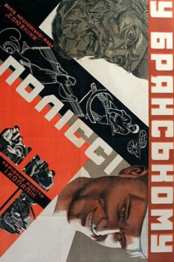 Poster of In the Bryansk Polesie