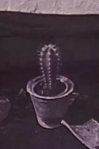 Poster of Cactus