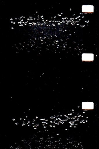 Poster of Small Things Moving in Unison