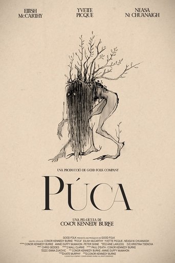 Poster of Púca