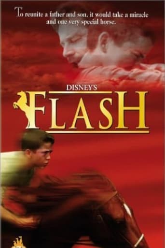 Poster of Flash