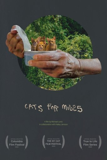Cats for Miles Poster of Cats for Miles
