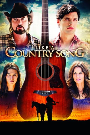 Poster of Like a Country Song