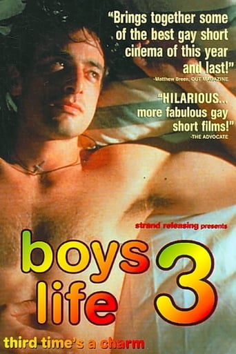 Poster of Boys Life 3