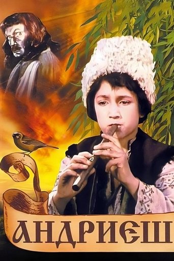 Poster of Andriesh