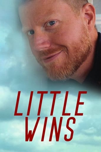Poster of Little Wins