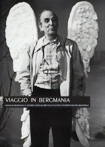 Poster of Viaggio in Bergmania