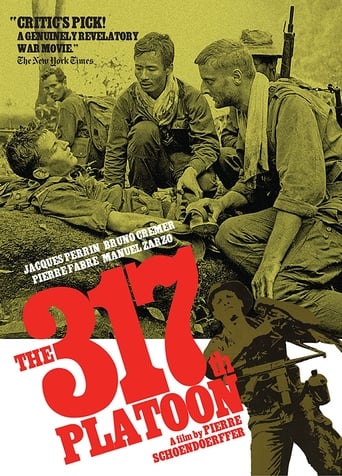 Poster of The 317th Platoon