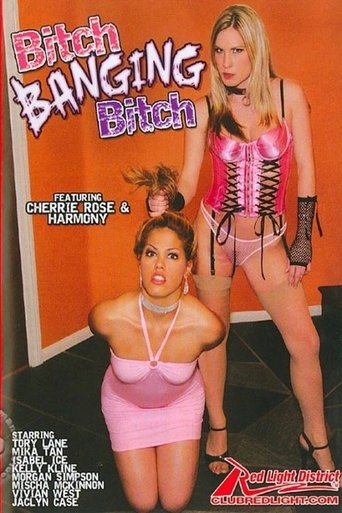 Poster of Bitch Banging Bitch