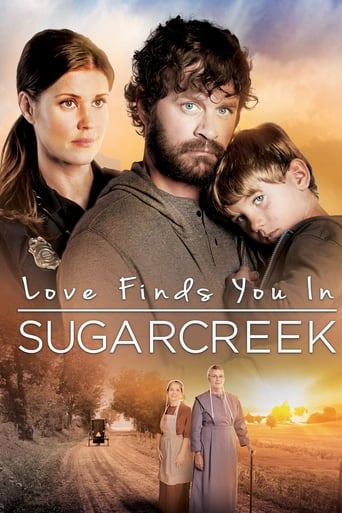 Poster of Love Finds You In Sugarcreek