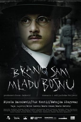 Poster of The Man Who Defended Gavrilo Princip