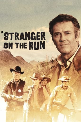 Poster of Stranger on the Run